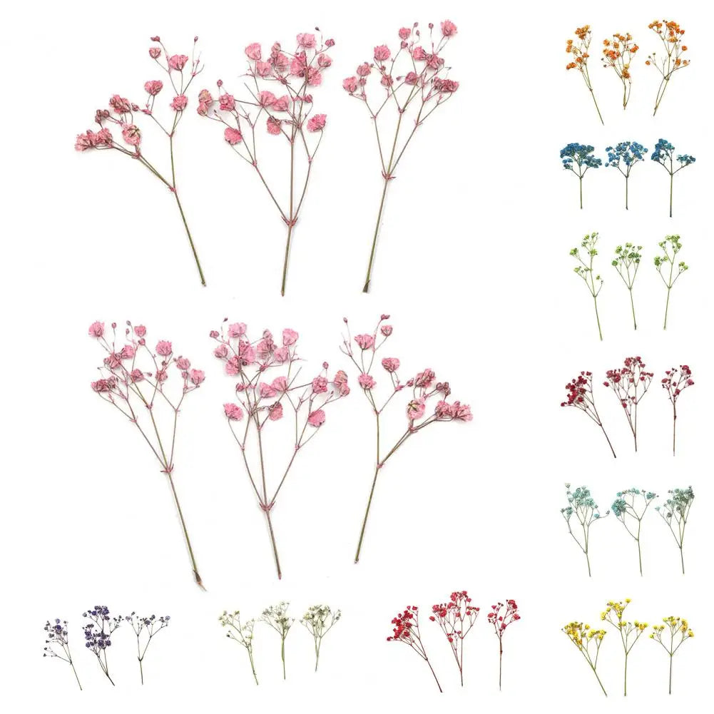 12Pcs Dried Baby Breath Flowers