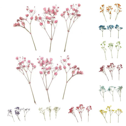 12Pcs Dried Baby Breath Flowers