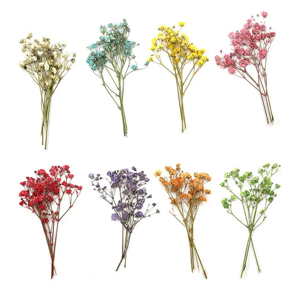 12Pcs Dried Baby Breath Flowers