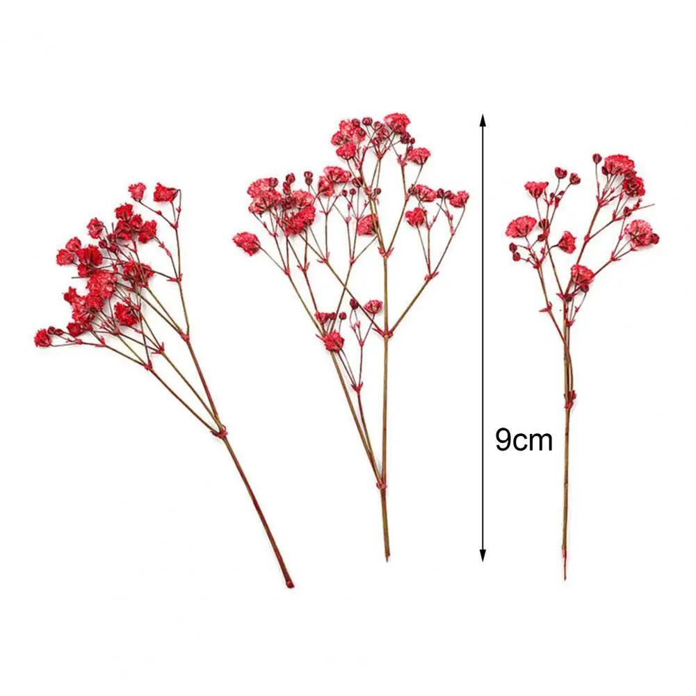 12Pcs Dried Baby Breath Flowers