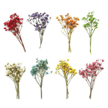 12Pcs Dried Baby Breath Flowers