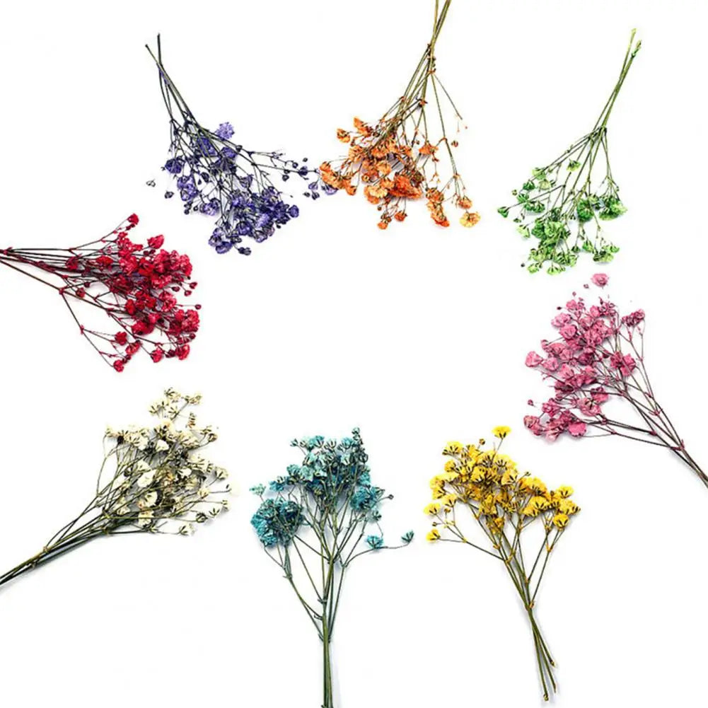12Pcs Dried Baby Breath Flowers