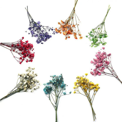 12Pcs Dried Baby Breath Flowers
